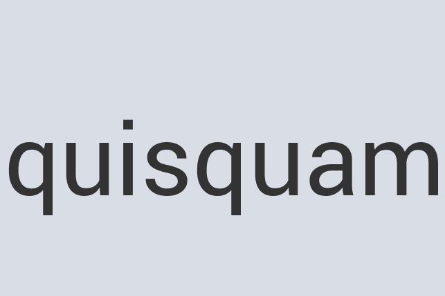 Incredible Leather Bag It!