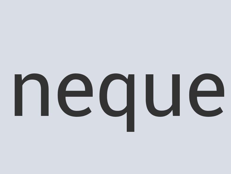 Lightweight Wool Future This!